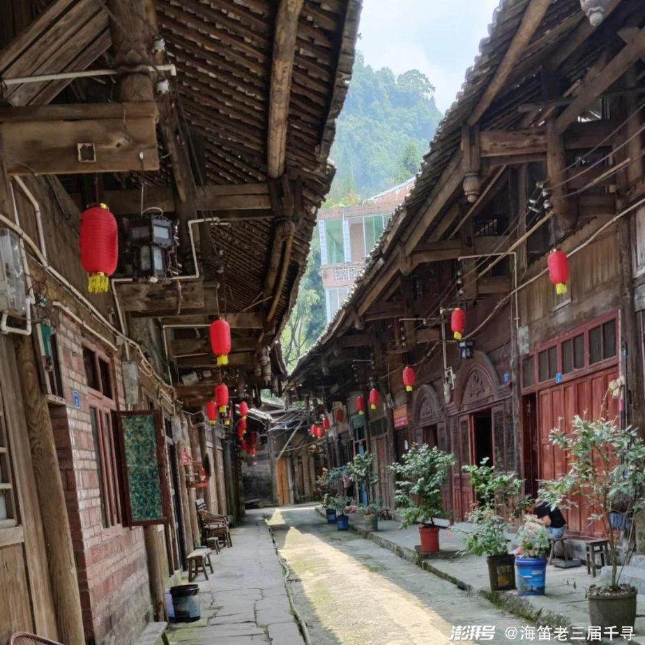 营救小乌龟